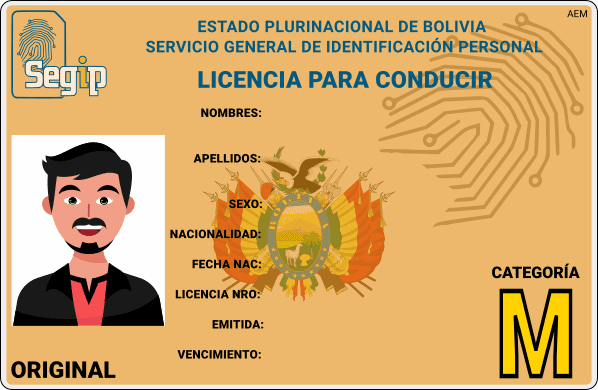 Licencia categoría M