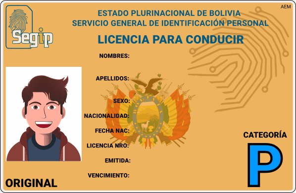 Licencia categoría P